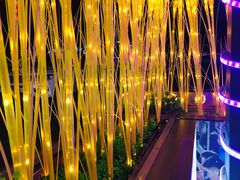 -龙巢盱眙龙虾·鸡煲·烧烤宵夜(坪洲店)