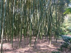 -兰亭风景区