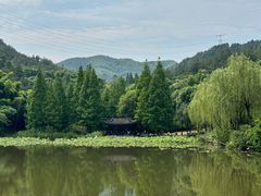 -莫干山风景区