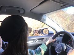 -石棉县孟获城