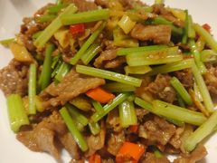 -大鸭梨烤鸭店(花园村店)