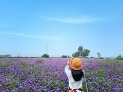 -君乐宝优致牧场