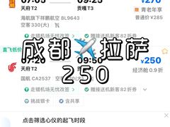 -布达拉宫