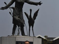 -盐城丹顶鹤湿地生态旅游区