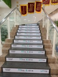 -新生植发·植养护一体