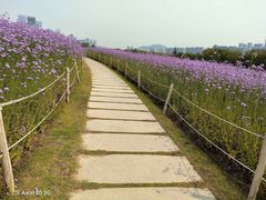-深圳湾公园(南山区)