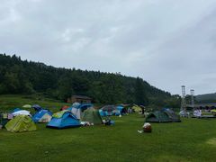-武陵山森林公园