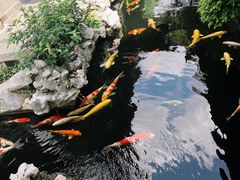 -金海华·华宴江南(斜塘店)