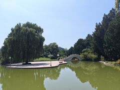 -南郊宾馆·风味自助餐厅·山东十六地市特色菜