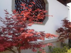 -交大留园(东川路店)