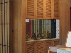 -水之惠鲜鱼料理(王府大街店)