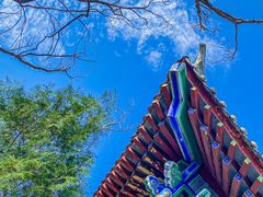 -禅宗少林·音乐大典