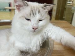 -三亚亚龙湾人间天堂鸟巢度假村
