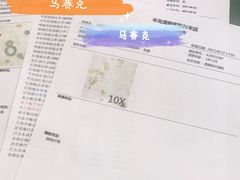 -半岛宠物医院24小时(科华中路店)