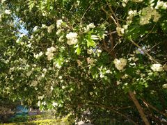 -哈尔滨文化公园