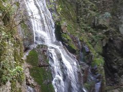 -藏龙百瀑风景区