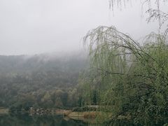 -桃花岭景区