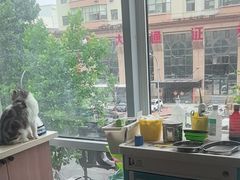 -爱派特动物医院·全科诊疗中心