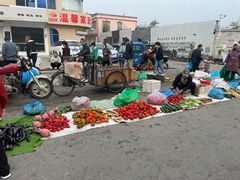 -华阳海鲜市场(府西路店)