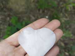 -青龙山国家森林公园