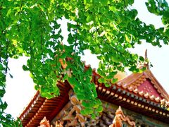 -东华门大街小区