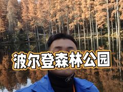 -波尔登森林公园