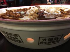 -旺顺阁鱼头泡饼(常营店)