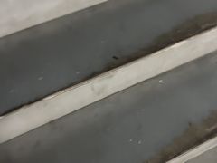 -巢爷老味(东方红店)