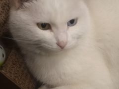 -一盃山水咖啡茶馆