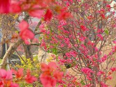 -沂蒙云瀑洞天景区