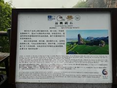-江西龙虎山景区