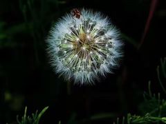 -南京市无想山景区