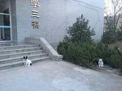 -山东师范大学(千佛山校区)