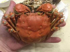 清蒸大闸蟹-王宝和酒家(黄浦店)