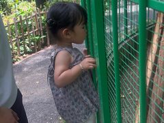 -灵玲国际马戏城