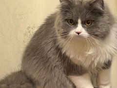 -星座健身(南和城店)