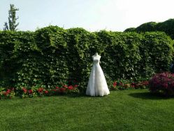 -醉库庄园·宴会厅·草坪婚礼场地
