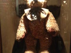 -济州岛泰迪熊博物馆