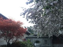 -颐和宾馆宴会厅