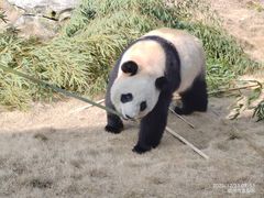 -杭州野生动物世界