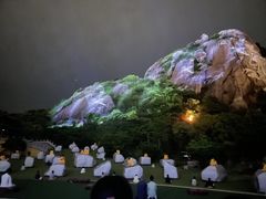-印象普陀