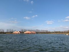 -上海长兴岛郊野公园