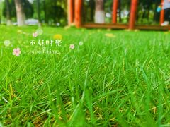 -重庆中央公园(渝北区)