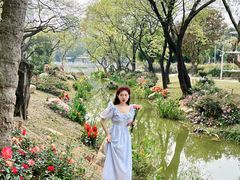 -人民公园(罗湖区)