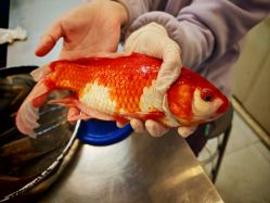 -巡鱼道·室内垂钓·渔具店