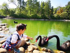 -鄱阳湖国家湿地公园