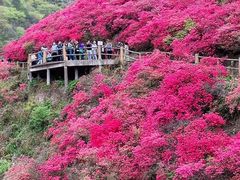 -木兰云雾山