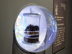 -李时珍纪念馆