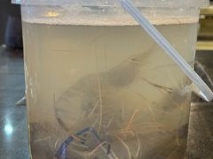 -粮心小农·大头虾亲子生态园(长发店)