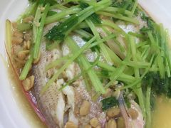 -肥信潮菜(科新路店)
